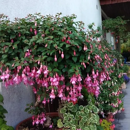Obere Asshoff Zwischen Odenwald, Taubertal Und Bauland Berolzheim