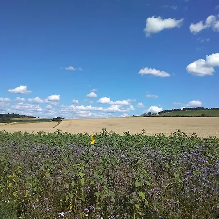 Grosse Mit Balkon Zwischen Odenwald, Taubertal Und Bauland * Berolzheim