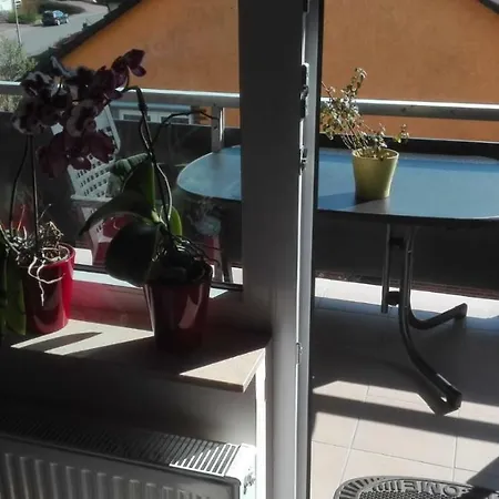 Obere Asshoff Zwischen Odenwald, Taubertal Und Bauland Lägenhet *