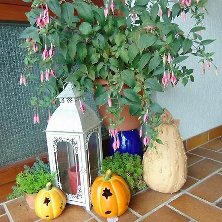 Obere Asshoff Zwischen Odenwald, Taubertal Und Bauland Lägenhet