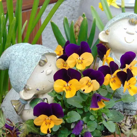 Lägenhet Obere Asshoff Zwischen Odenwald, Taubertal Und Bauland Berolzheim