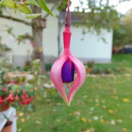 Obere Asshoff Zwischen Odenwald, Taubertal Und Bauland *